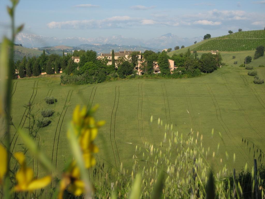 Agriturismo La Campana Villa Montefiore dell'Aso Exterior photo